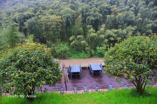 撩开薄雾与轻纱,发现雨雾中的别样<a data-cke-saved-href='http://travel.sina.com.cn/huzhou_moganshan_17666-lvyou/?from=b-keyword' href='http://travel.sina.com.cn/huzhou_moganshan_17666-lvyou/?from=b-keyword' target='_blank'>莫干山</a>,曼妙含蓄也生机盎然
