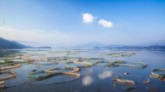 跟随初夏的脚步，带你领略福建福鼎的惬意时光