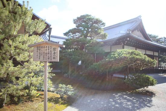 【日本】浮生京都一日闲,穿越风物千年诗