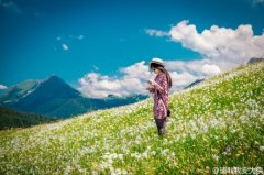 瑞士初夏时节 走到山中看水仙