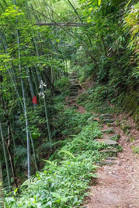 探秘舜帝南巡的驻跸之地,在炎炎夏日感受清凉水世界