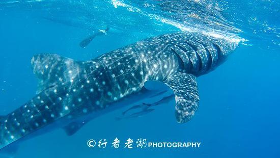 菲律宾第10大岛,7000个岛屿中最美的一个,度假比三亚还便宜