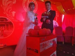 婚礼现场  新娘给众亲友推介马栏红苹果
