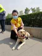 “你是我的眼”国际导盲犬日“导盲犬”出行公益活动在西安举行