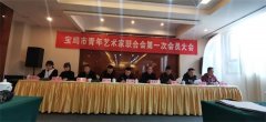 宝鸡市青年艺术家联合会成立